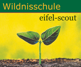 (c) Eifel-scout.de